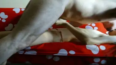 Live ABG Bispak Jakarta Hotel Bintang Lima Skandal Viral Indo Streaming